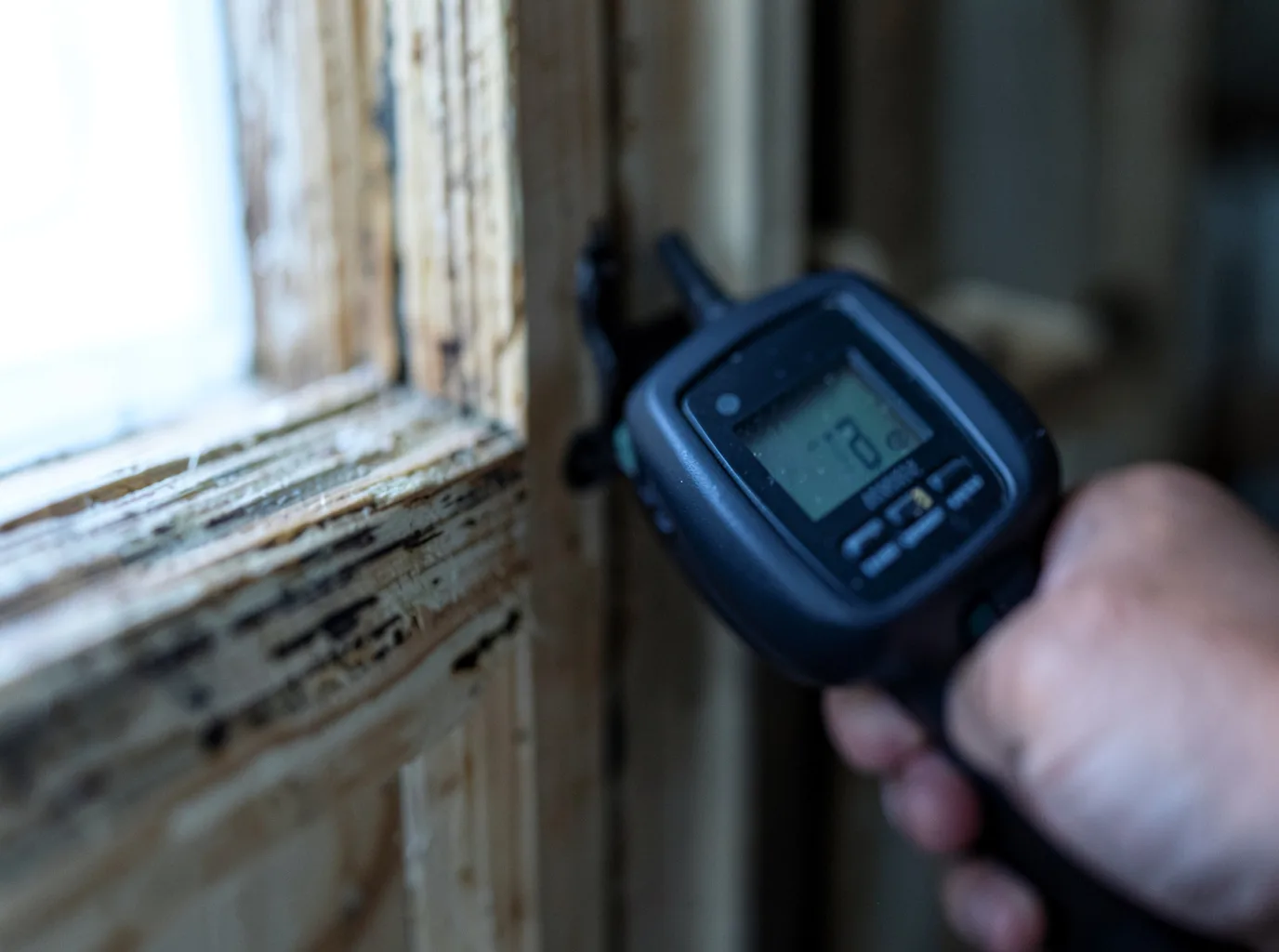 Moisture Inspection And Documentation in Ruston, LA